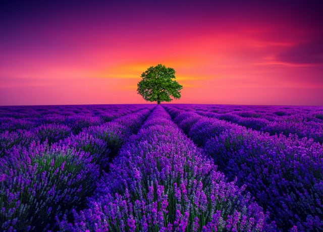 1,000-piece Gray-cardboard Jigsaw Puzzlehigh-difficulty Toy